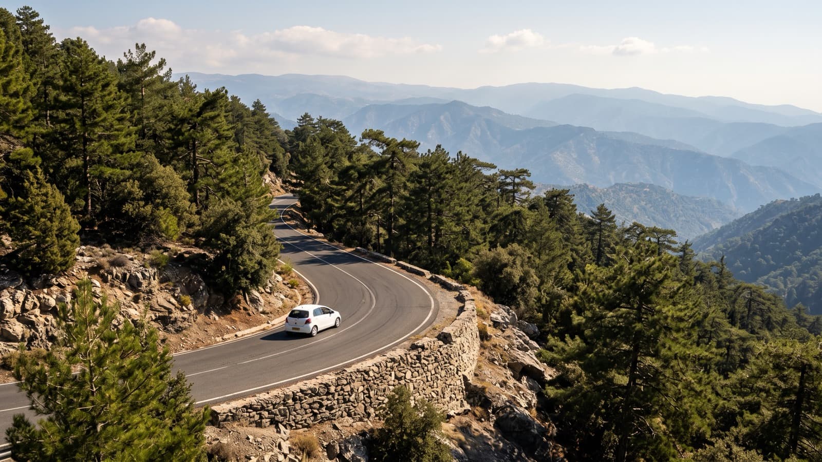 A car on a narrow winding mountain road in the Troodos range, pine forest either side